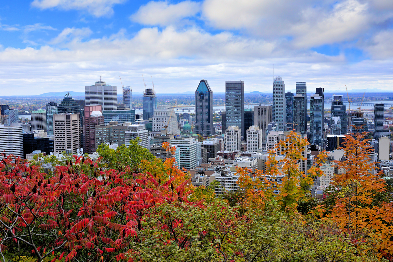 Montréal city skyline fall colors